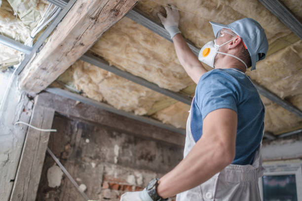 Best Professional Insulation Contractor  in Pine Grove, PA