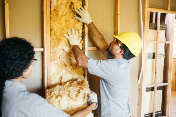 Best Insulation Contractor Near Me  in Pine Grove, PA